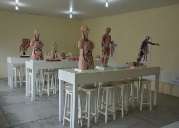 Estruturas