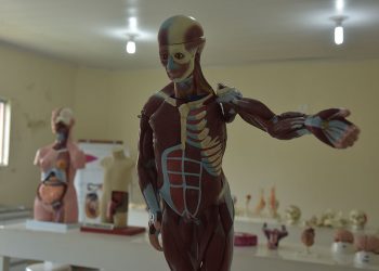 Estruturas